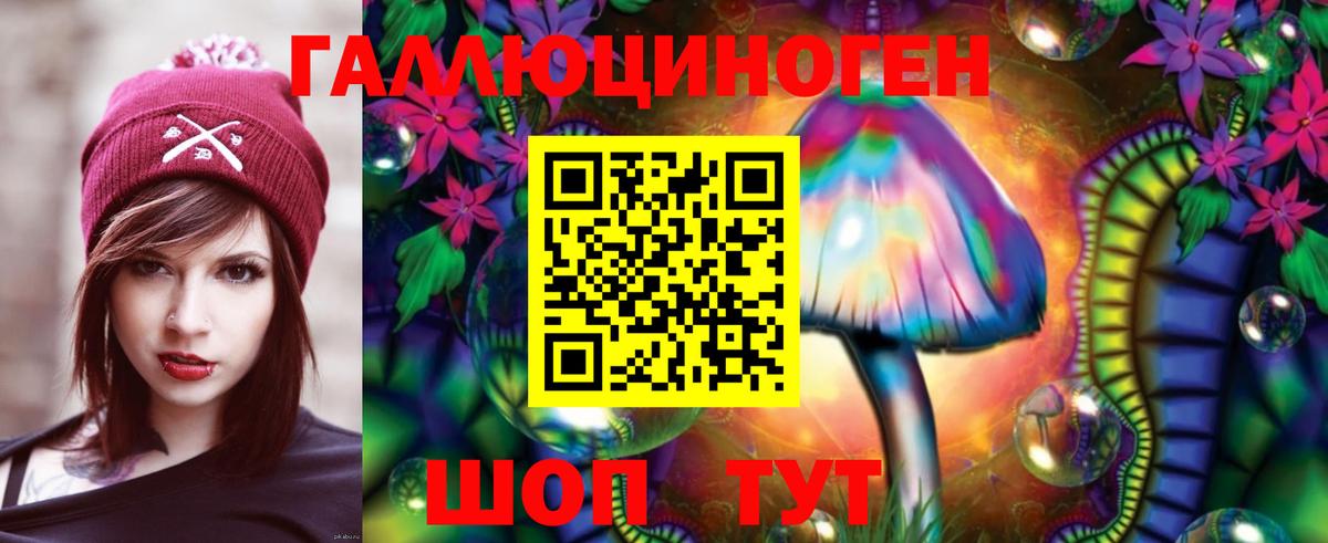 Псилоцибиновые грибы Psilocybine cubensis  Вход с VPN  Шадринск 