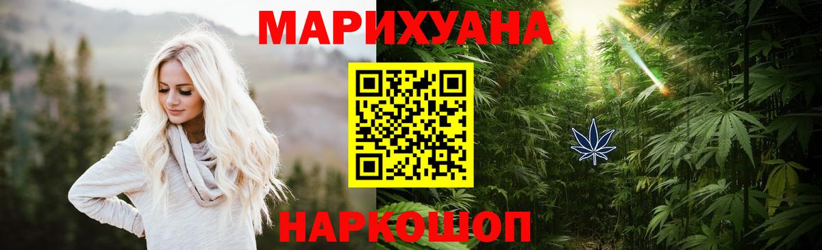 Бошки Шишки планчик Шадринск